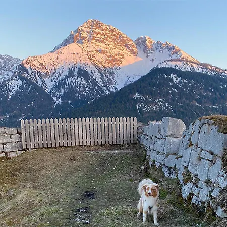 Jaegers Zwischen Ehrenberg Und Neuschwanstein