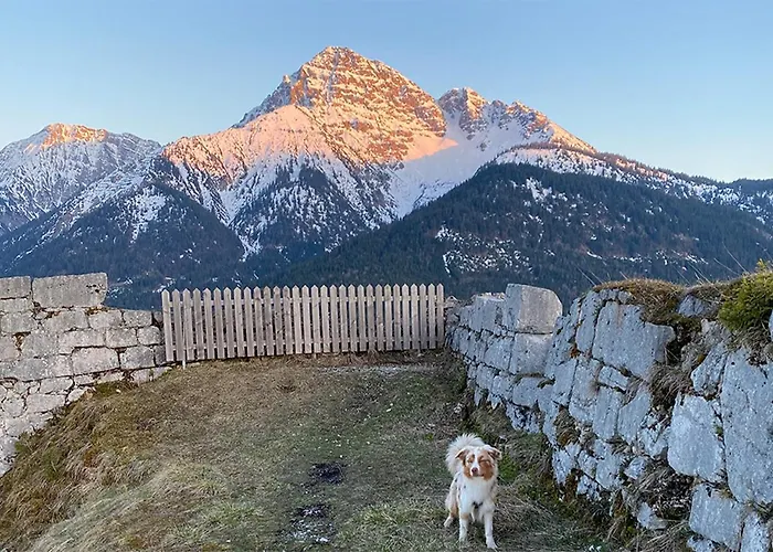 Jaegers Zwischen Ehrenberg Und Neuschwanstein